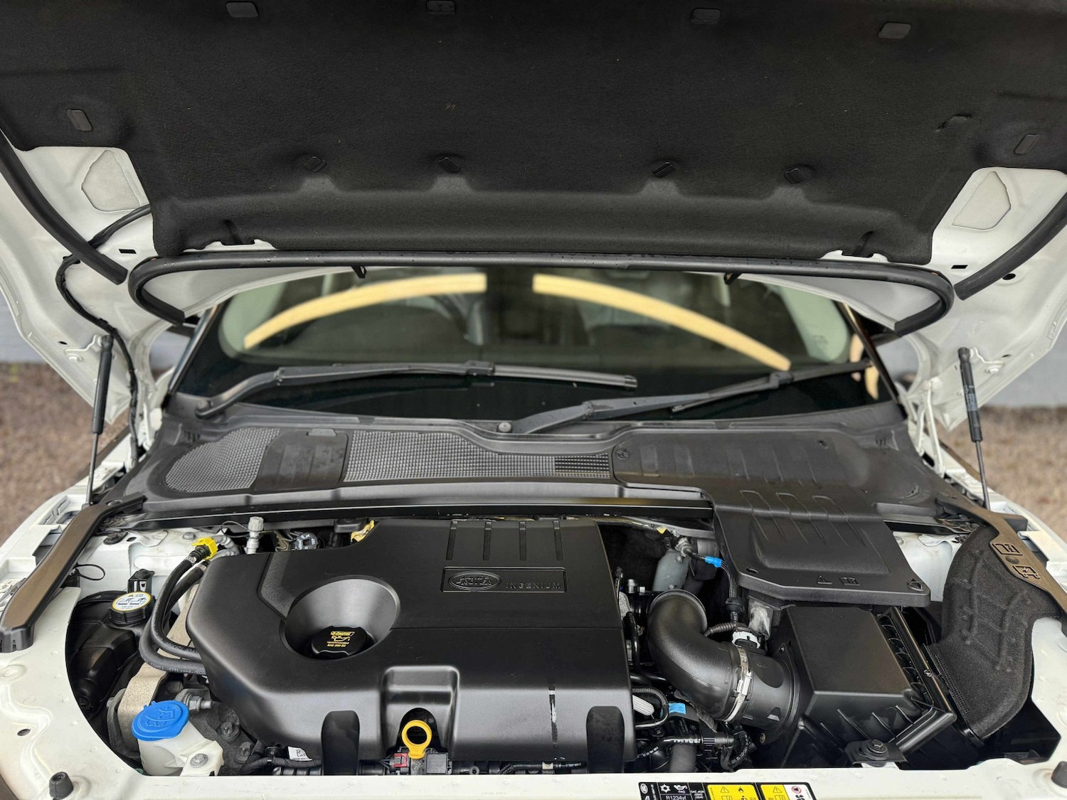 Used Land Rover Range Rover Evoque 2019 for sale - 76430862: Photo 20