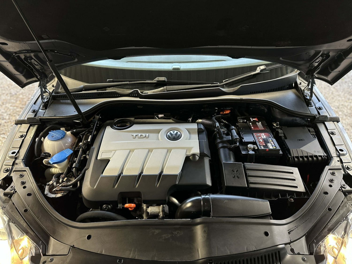 Used Volkswagen EOS 2010 for sale - 77020554: Photo 20