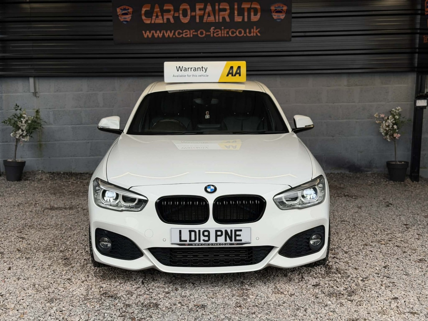 Used BMW 1 Series 2019 for sale - 77681778: Photo 2