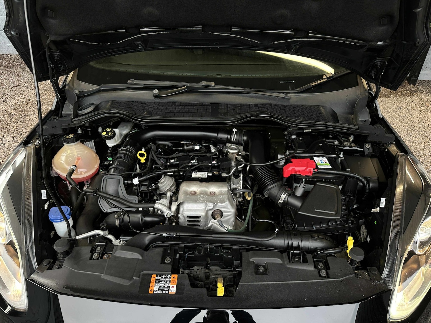 Used Ford Fiesta 2019 for sale - 76591534: Photo 20