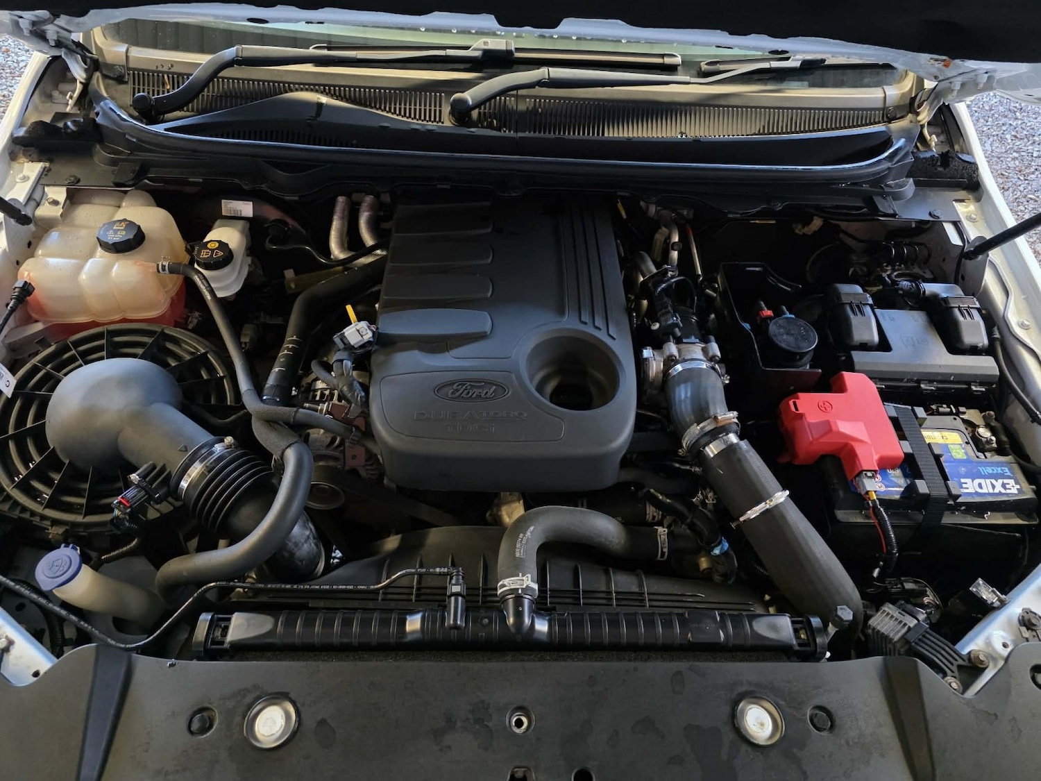 Used Ford Ranger 2016 for sale - 77237122: Photo 20