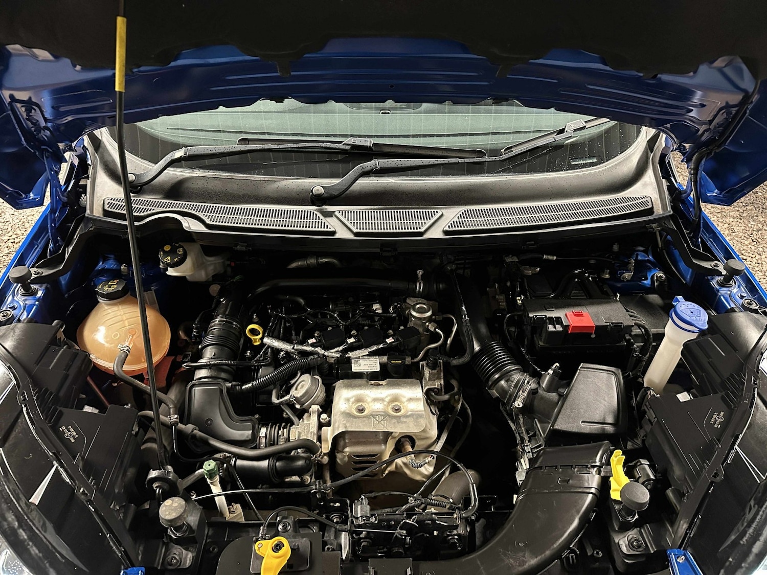 Used Ford Ecosport 2019 for sale - 76547890: Photo 20