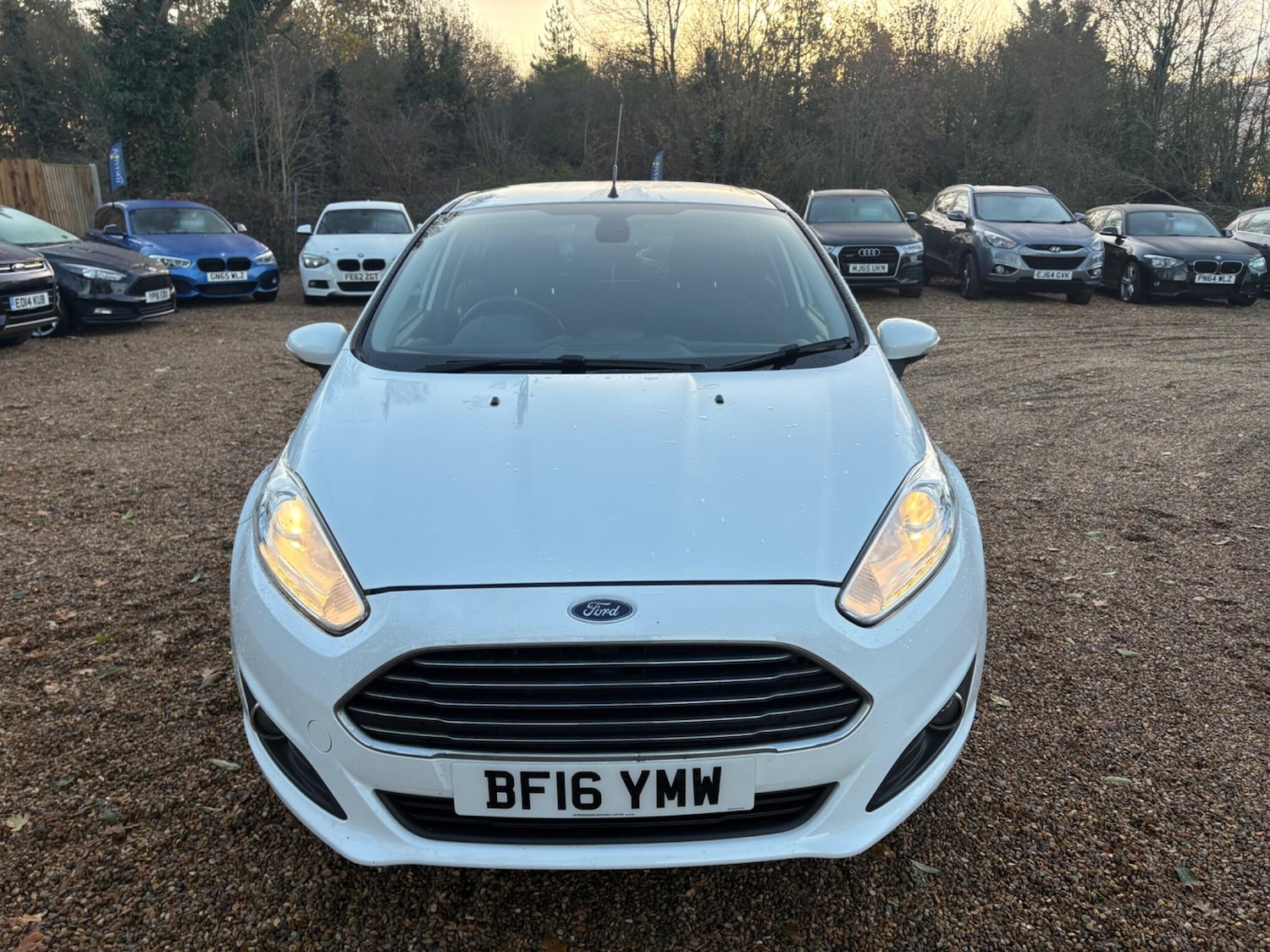 Used Ford Fiesta for sale - 76701564: Photo 13