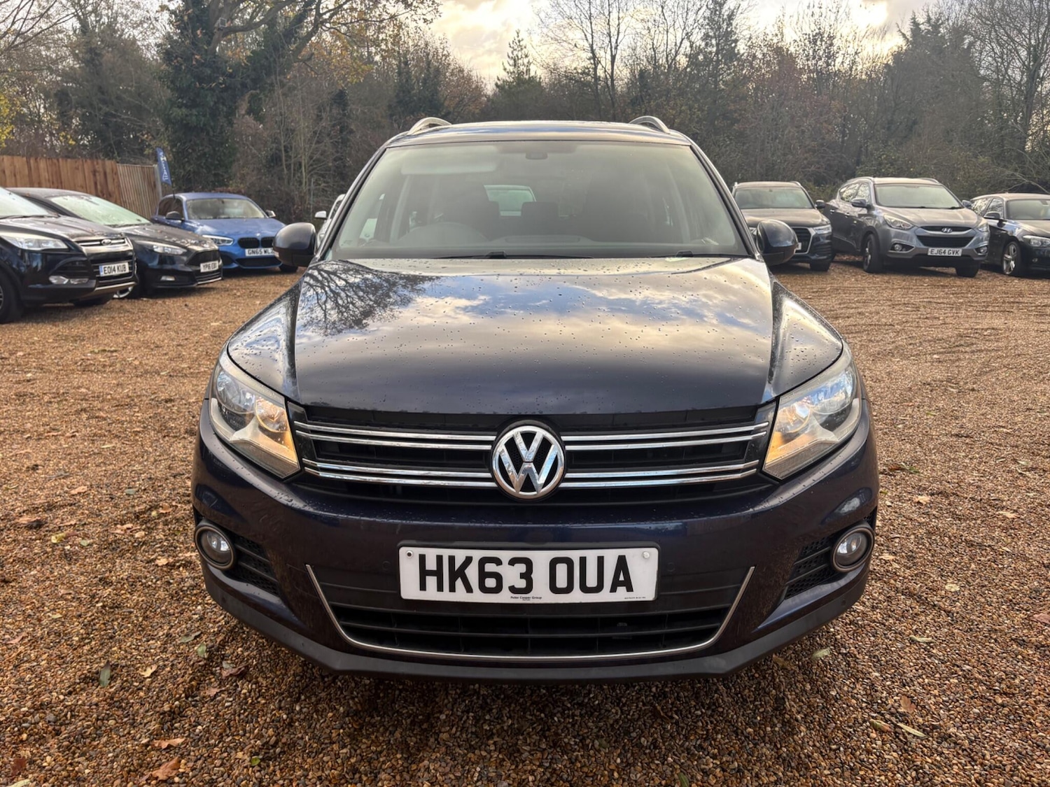 Used Volkswagen Tiguan 2014 for sale - 76701569: Photo 11