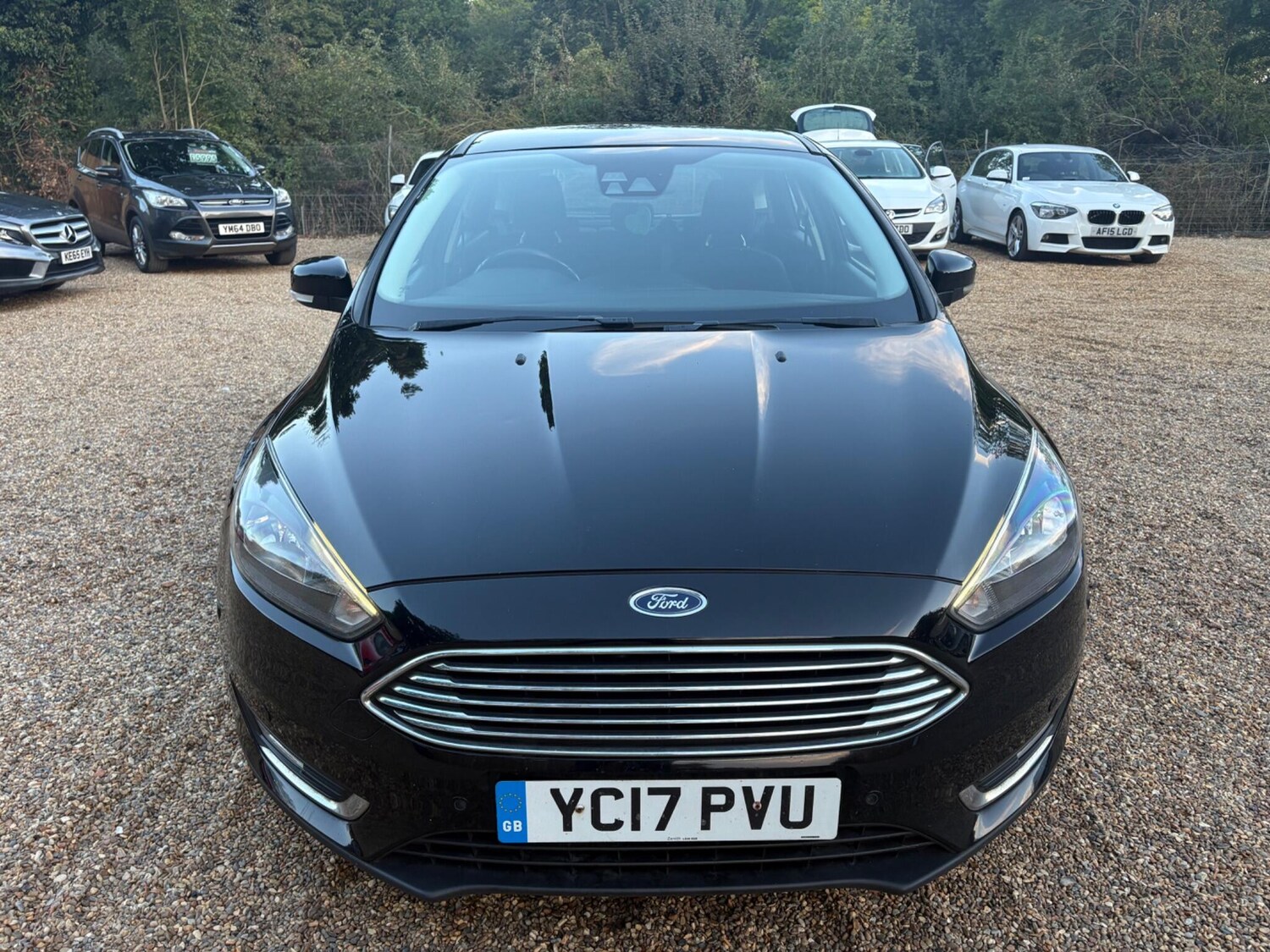 Used Ford Focus 2017 for sale - 76043220: Photo 13