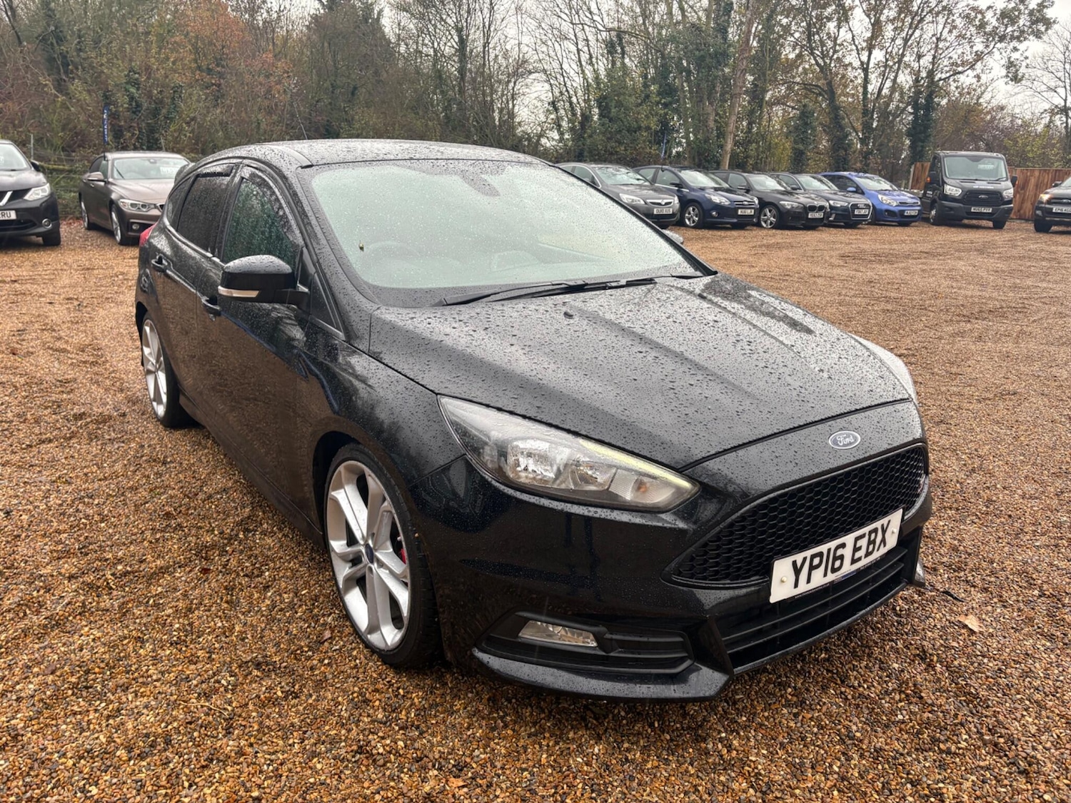 Used Ford Focus 2016 for sale - 76658942: Photo 11