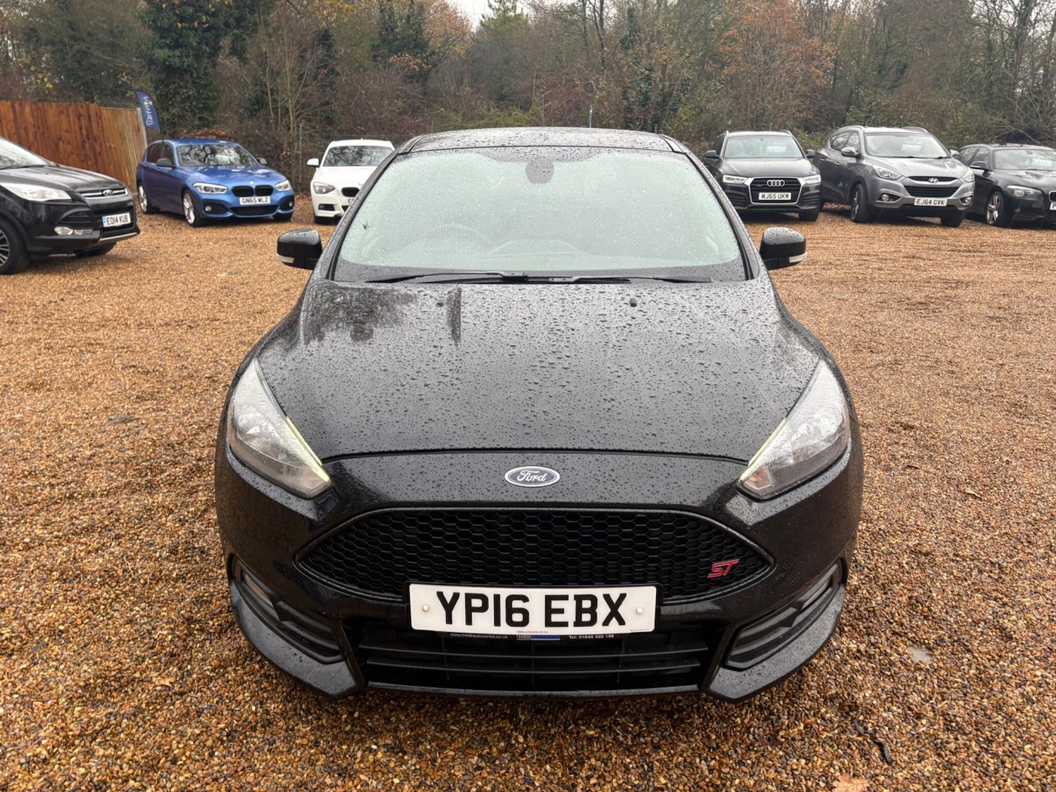 Used Ford Focus 2016 for sale - 76658942: Photo 12