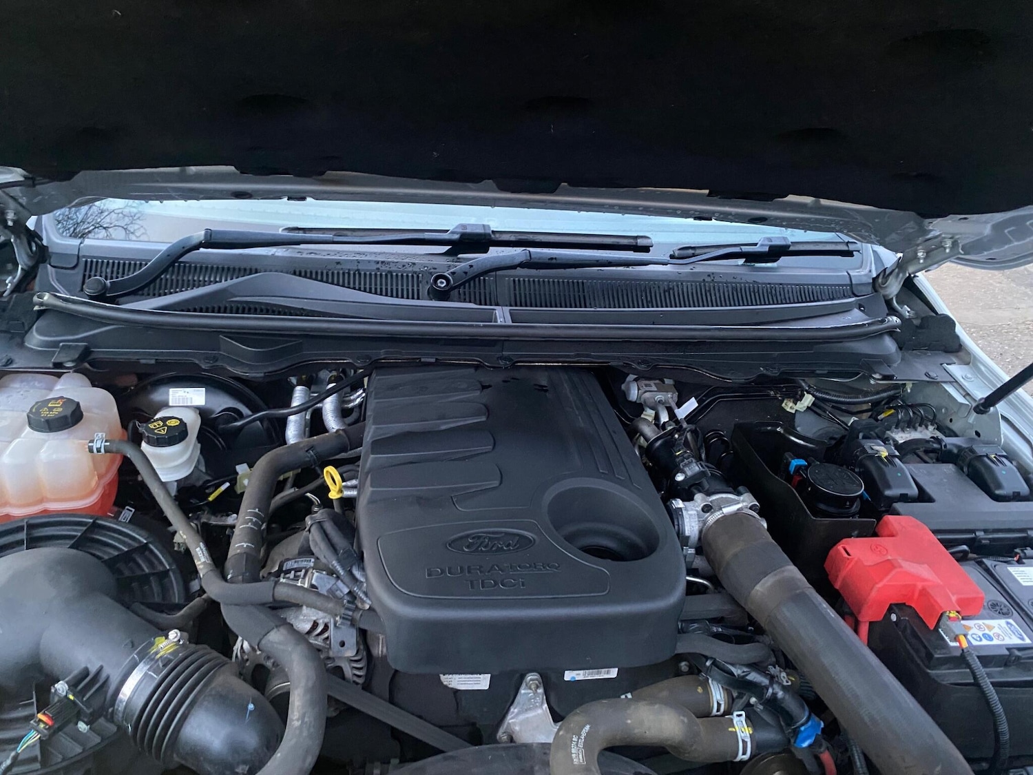 Used Ford Ranger 2020 for sale - 77479562: Photo 65