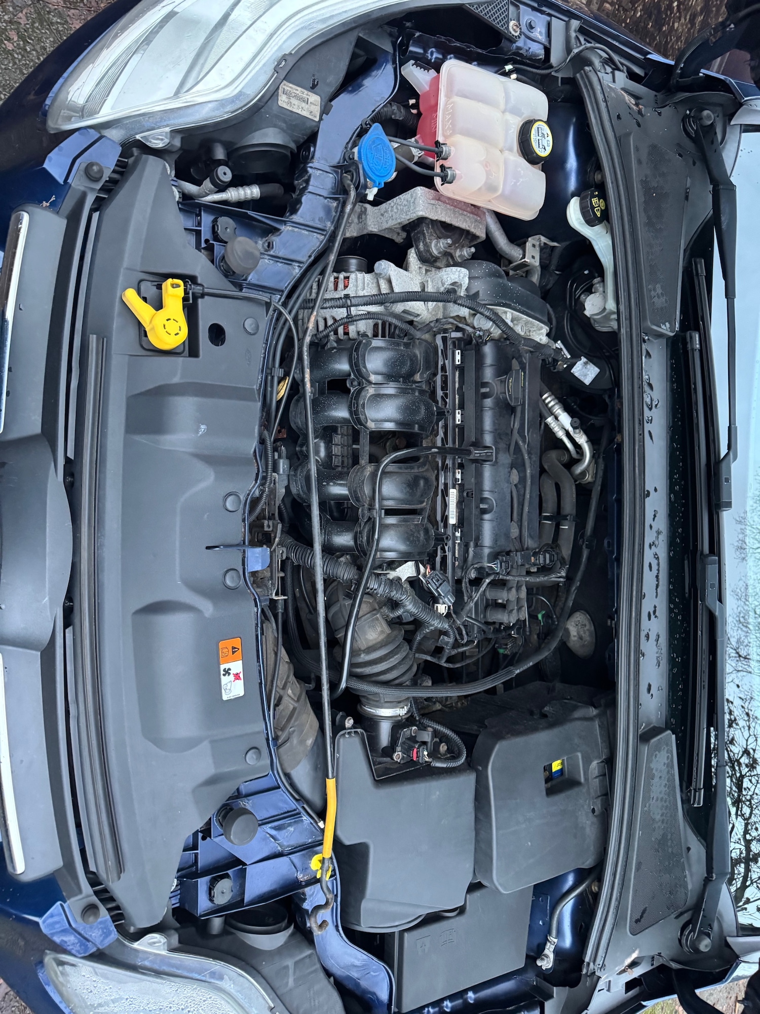 Used Ford Focus 2011 for sale - 76879747: Photo 33