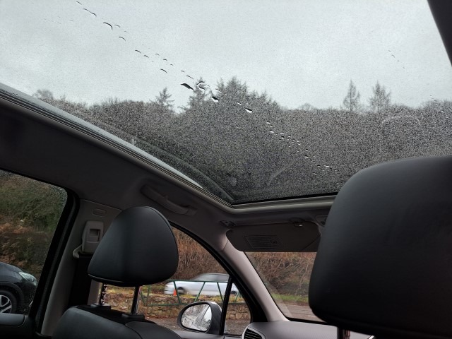 Used Peugeot 207 2013 for sale - 76817461: Photo 19