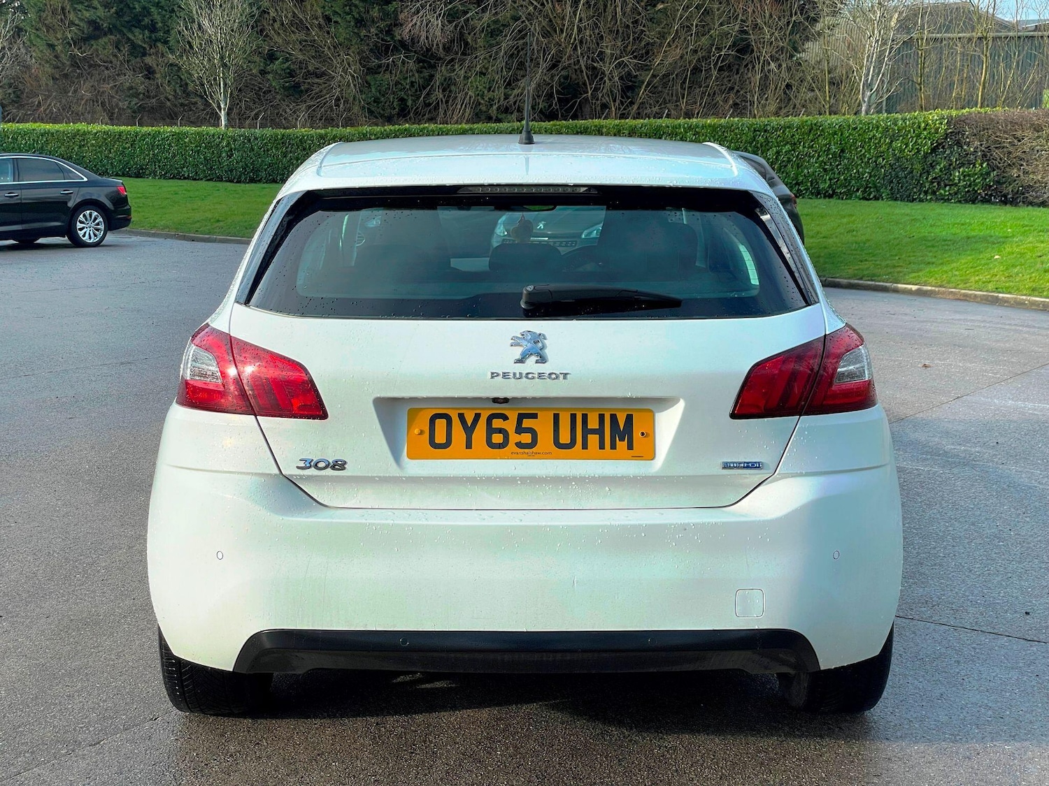 Used Peugeot 308 for sale - 77242672: Photo 6