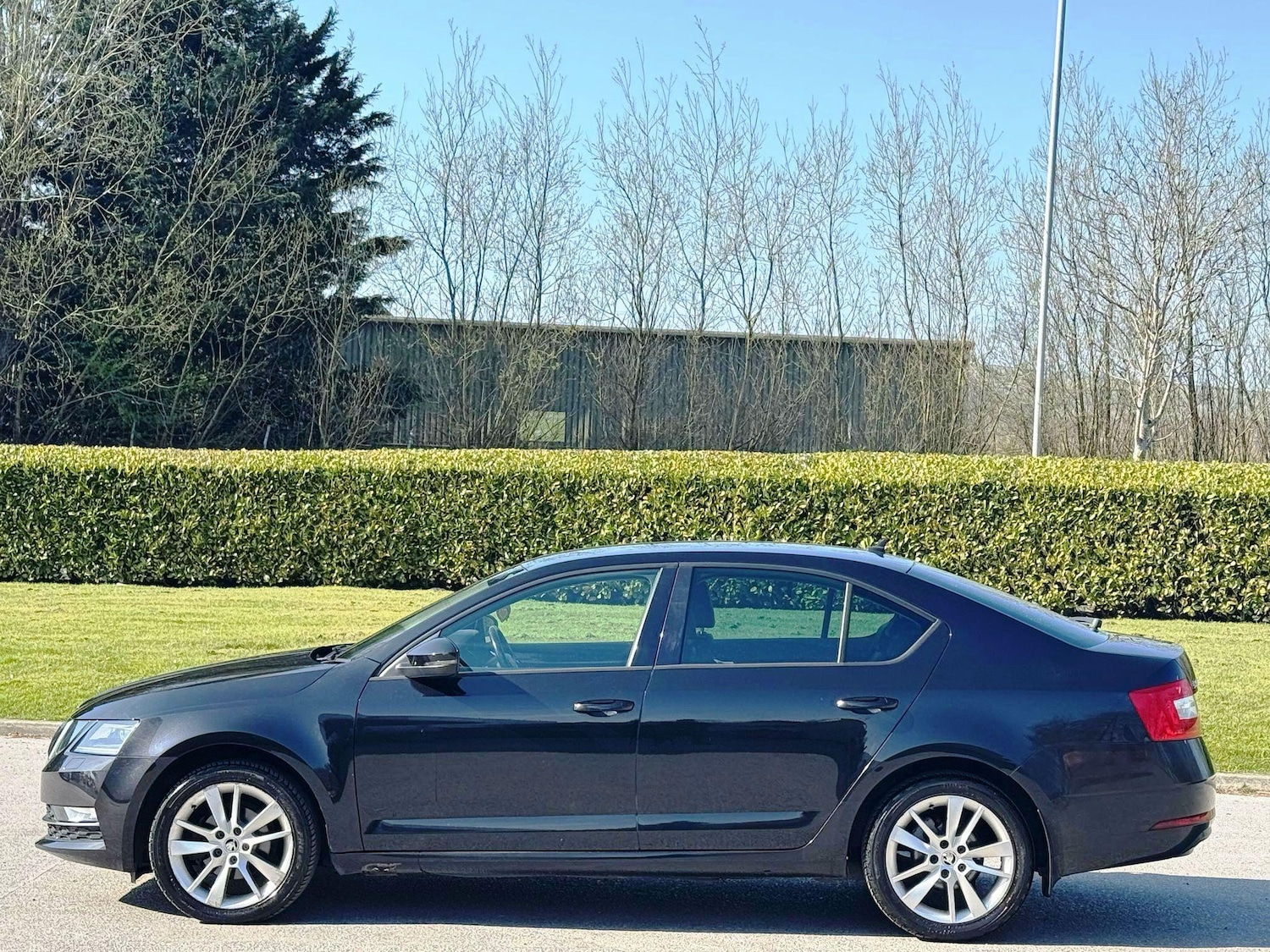 Used Skoda Octavia 2017 for sale - 77174824: Photo 4