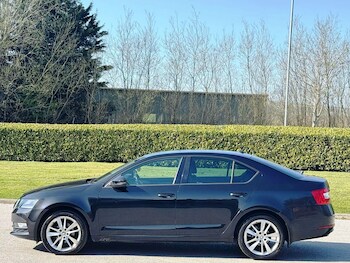 Used Skoda Octavia 2017 for sale - 77174824: Photo