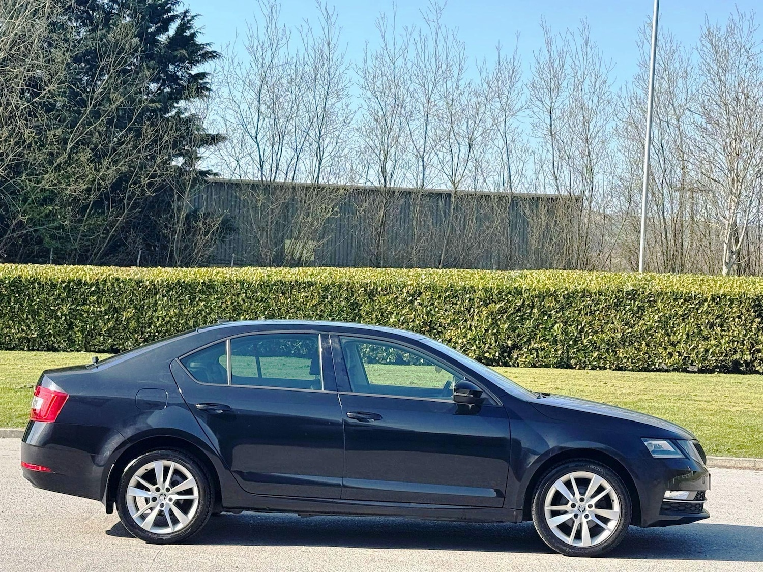 Used Skoda Octavia 2017 for sale - 77174824: Photo 8