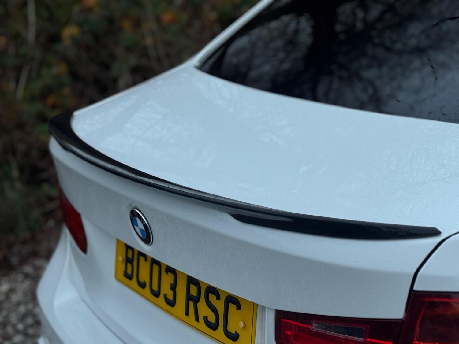 Used BMW 3 Series for sale - 77278937: Photo 66