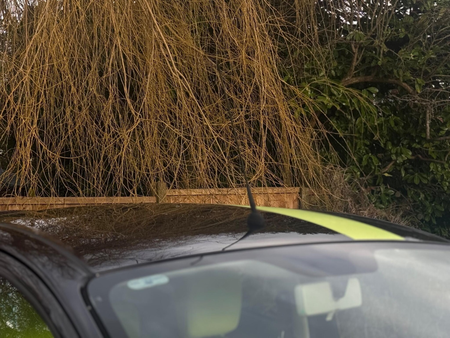 Used Ford Ka 2010 for sale - 77424582: Photo 56