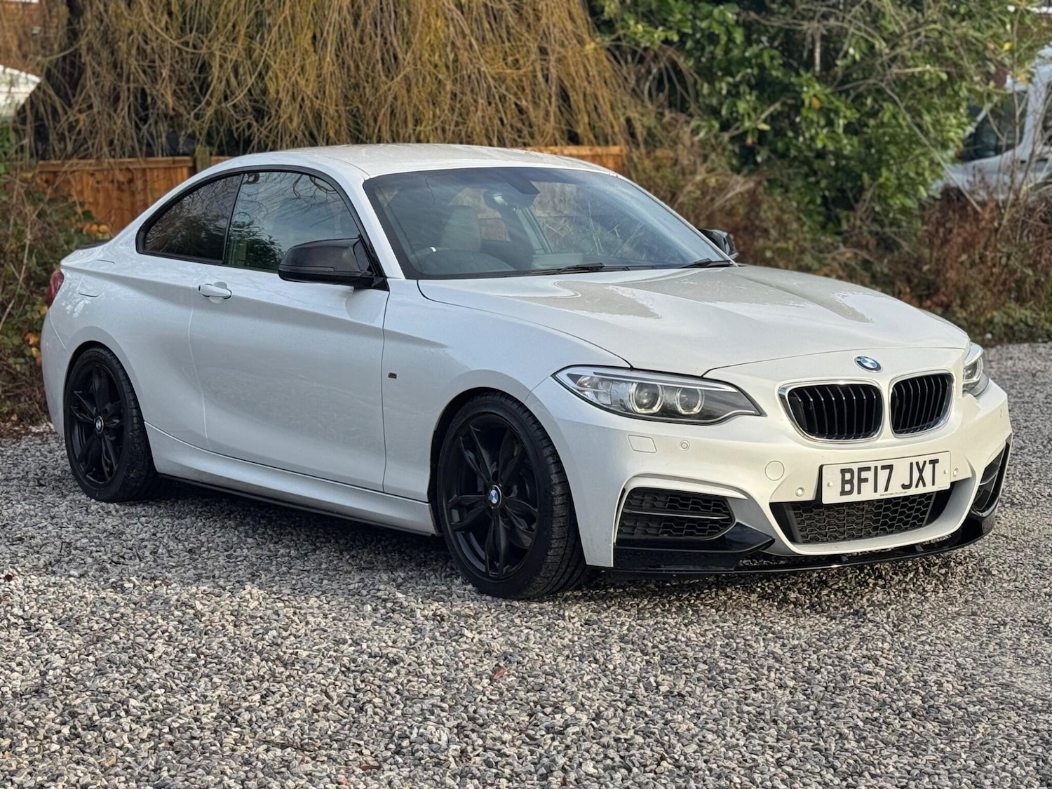 Used BMW 2 Series 2017 for sale - 77131948: Photo 3