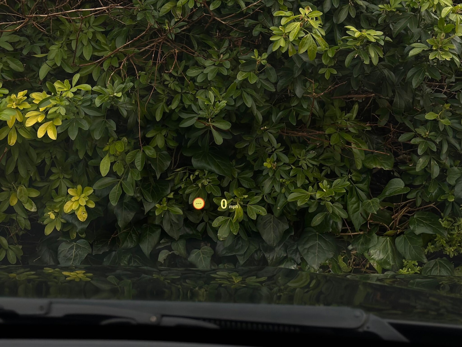 Used BMW X5 2017 for sale - 77331369: Photo 34