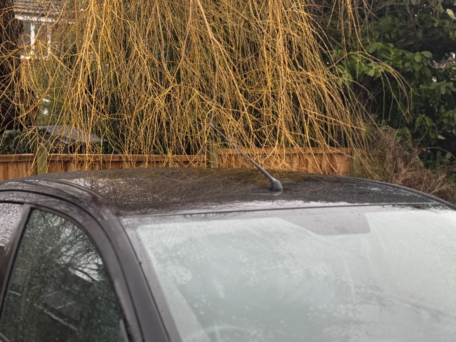 Used Citroen C1 2015 for sale - 77386227: Photo 68