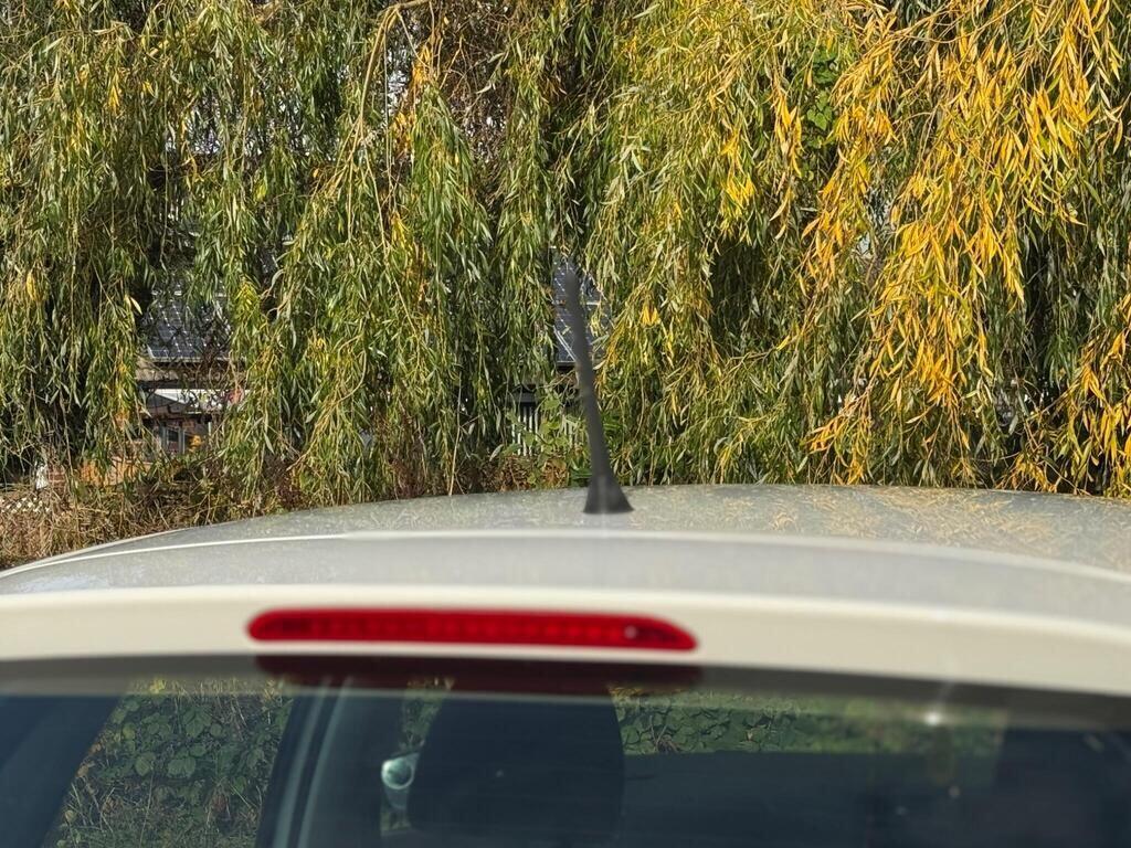 Used Volkswagen Polo for sale - 77646620: Photo 61