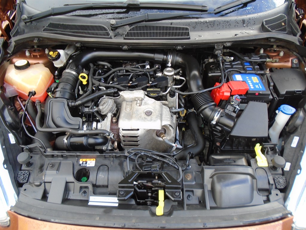 Used Ford Fiesta 2016 for sale - 76438245: Photo 14