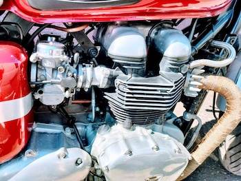 Used Triumph Thruxton 2005 for sale - bike-76334691: Photo