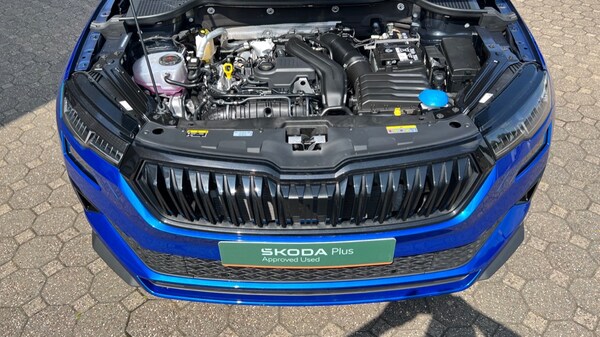 Used Skoda Karoq 2025 for sale - 75495525: Photo 17