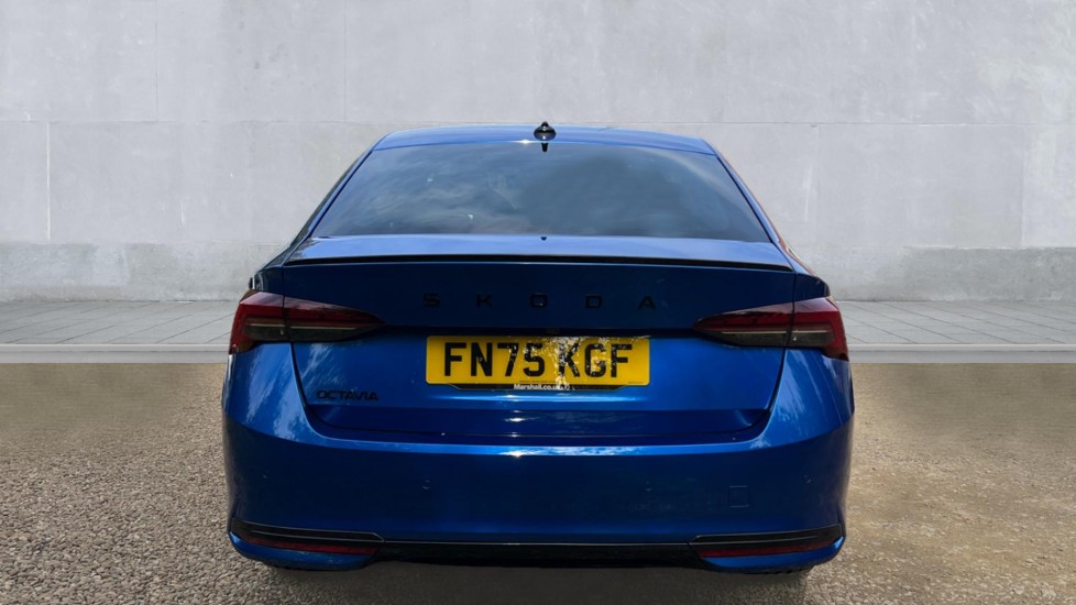 Used Skoda Octavia 2025 for sale - 76190936: Photo 11
