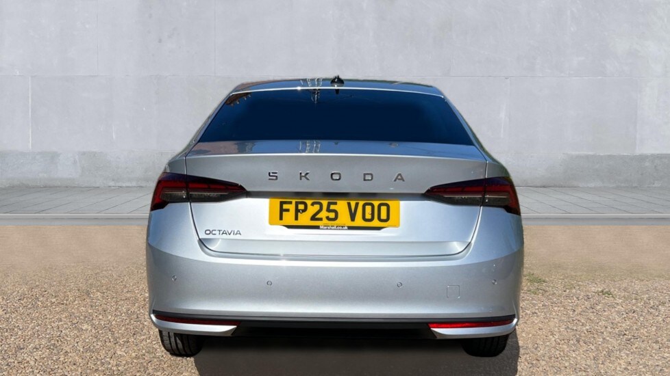 Used Skoda Octavia 2025 for sale - 76154733: Photo 11