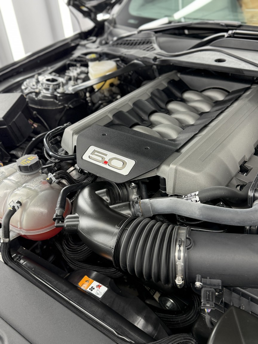 Used Ford Mustang 2016 for sale - 76706176: Photo 54