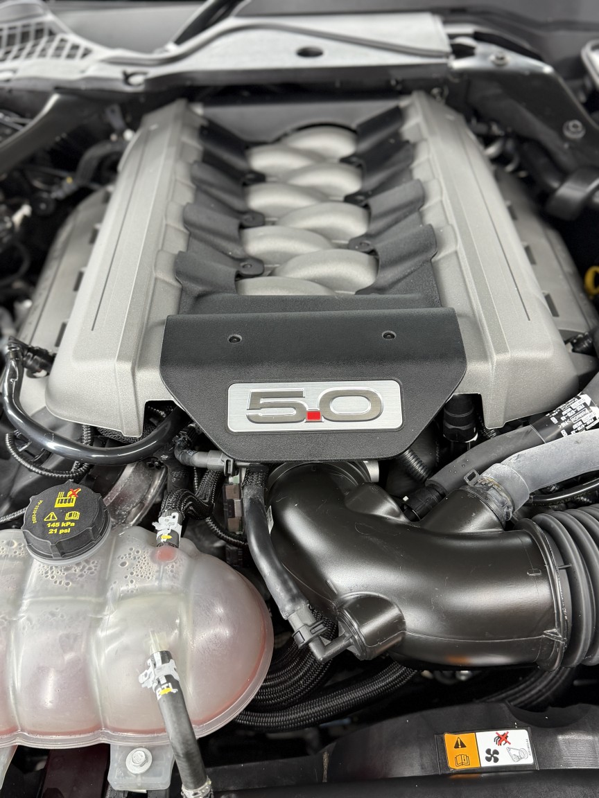 Used Ford Mustang 2016 for sale - 76706176: Photo 6