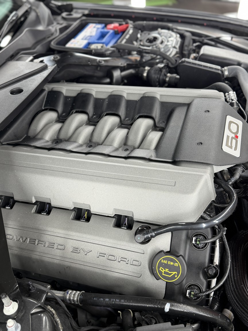 Used Ford Mustang 2016 for sale - 76706176: Photo 79