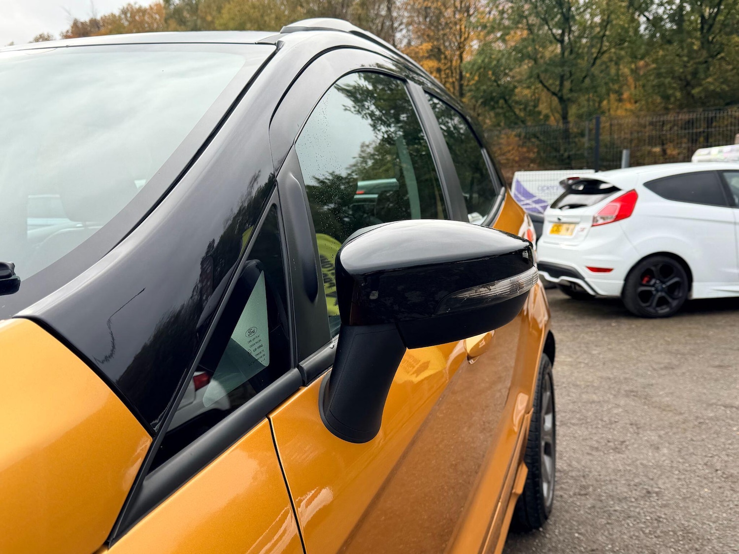 Used Ford Ecosport for sale - 76457379: Photo 13