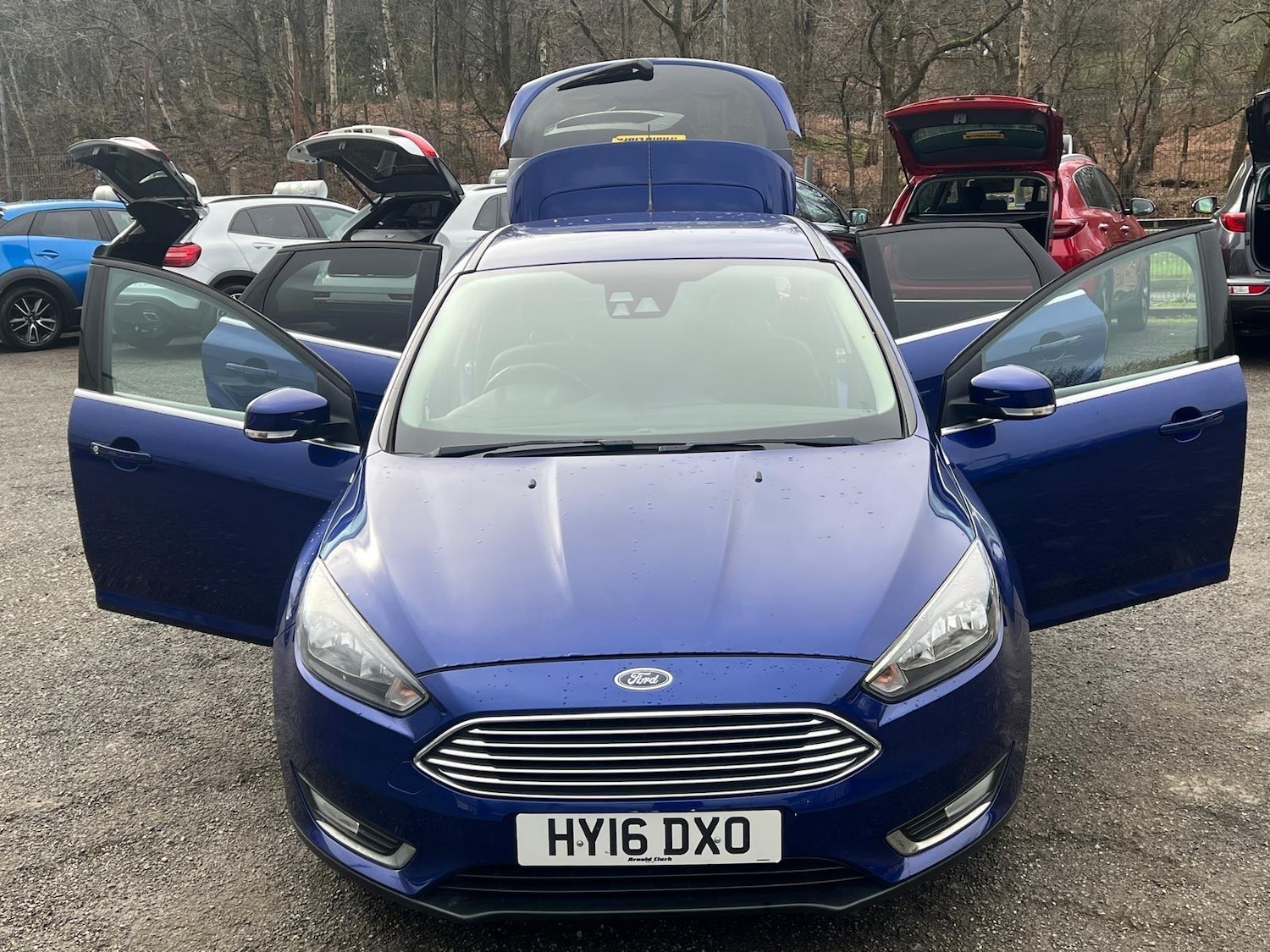 Used Ford Focus for sale - 77807790: Photo 8