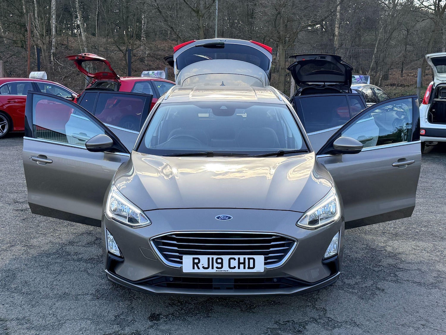 Used Ford Focus for sale - 77892297: Photo 13