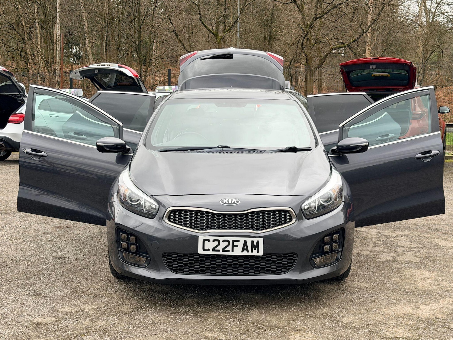 Used Kia Ceed for sale - 77684101: Photo 13