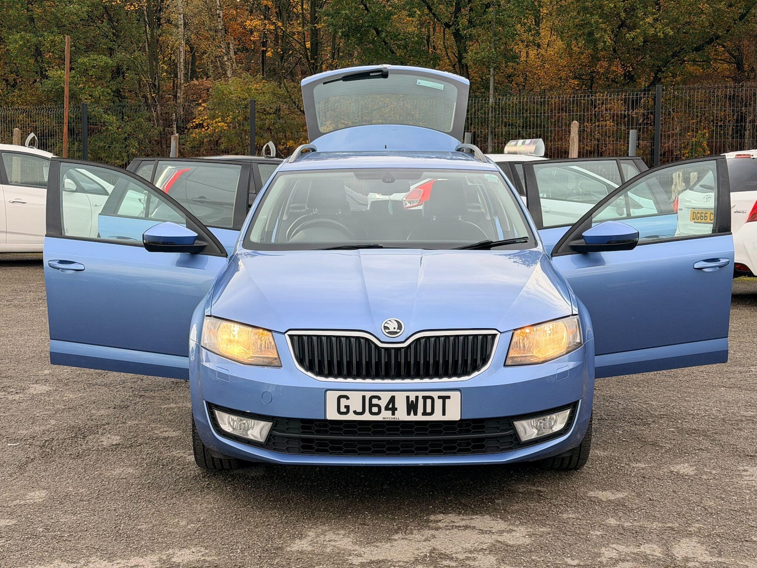 Used Skoda Octavia 2014 for sale - 76499572: Photo 10