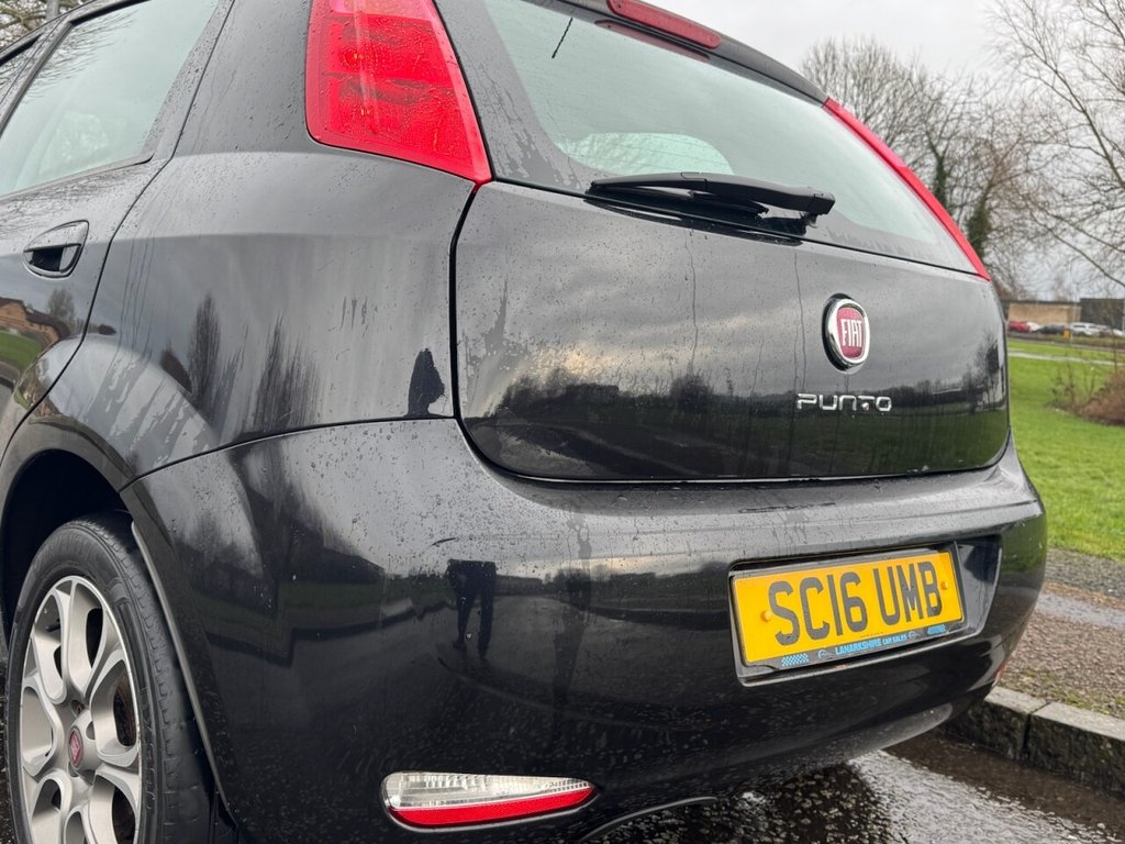 Used Fiat Punto 2016 for sale - 77133716: Photo 10