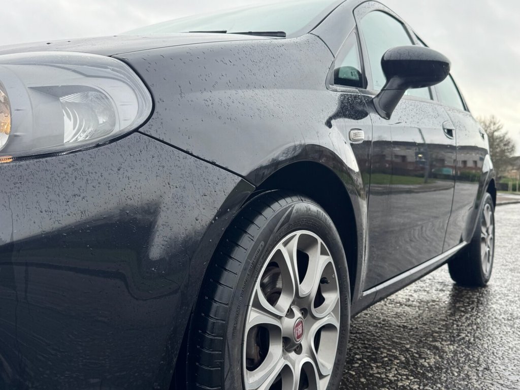 Used Fiat Punto 2016 for sale - 77133716: Photo 11