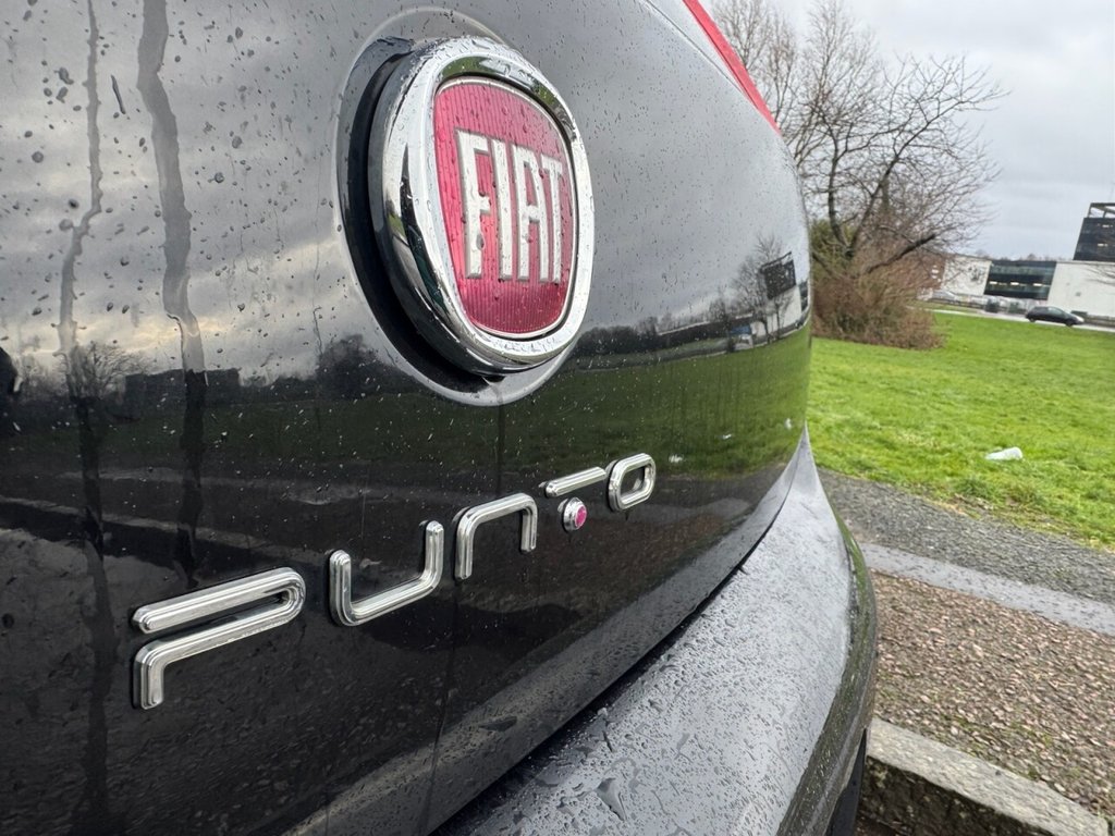 Used Fiat Punto 2016 for sale - 77133716: Photo 13