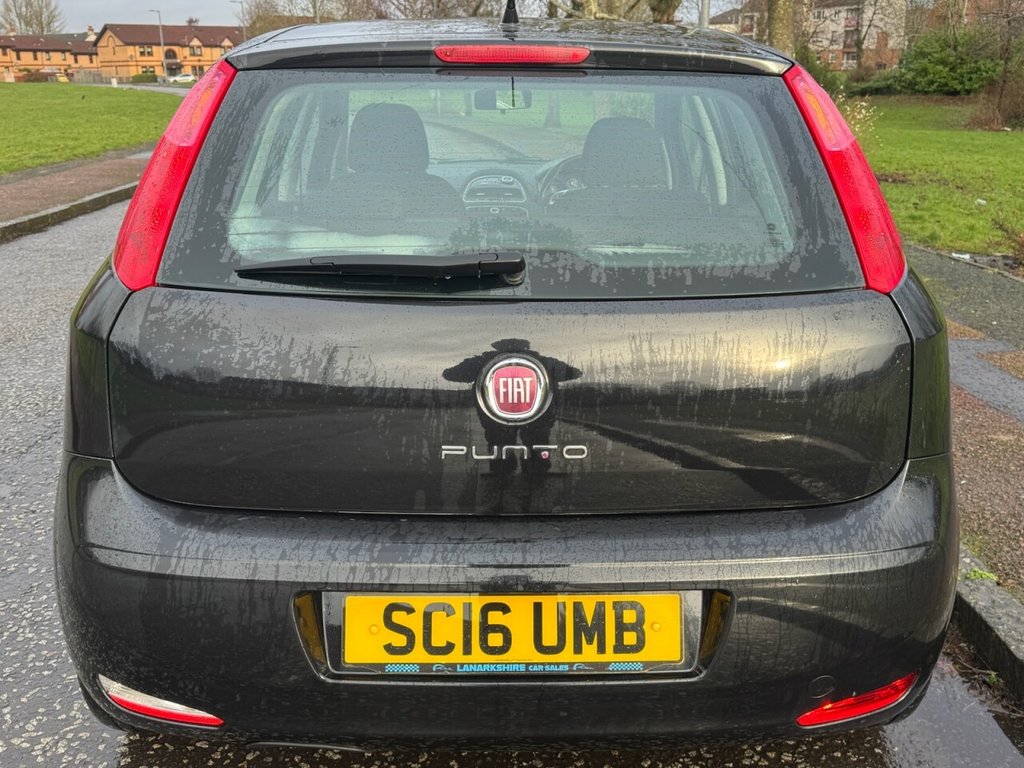 Used Fiat Punto 2016 for sale - 77133716: Photo 5