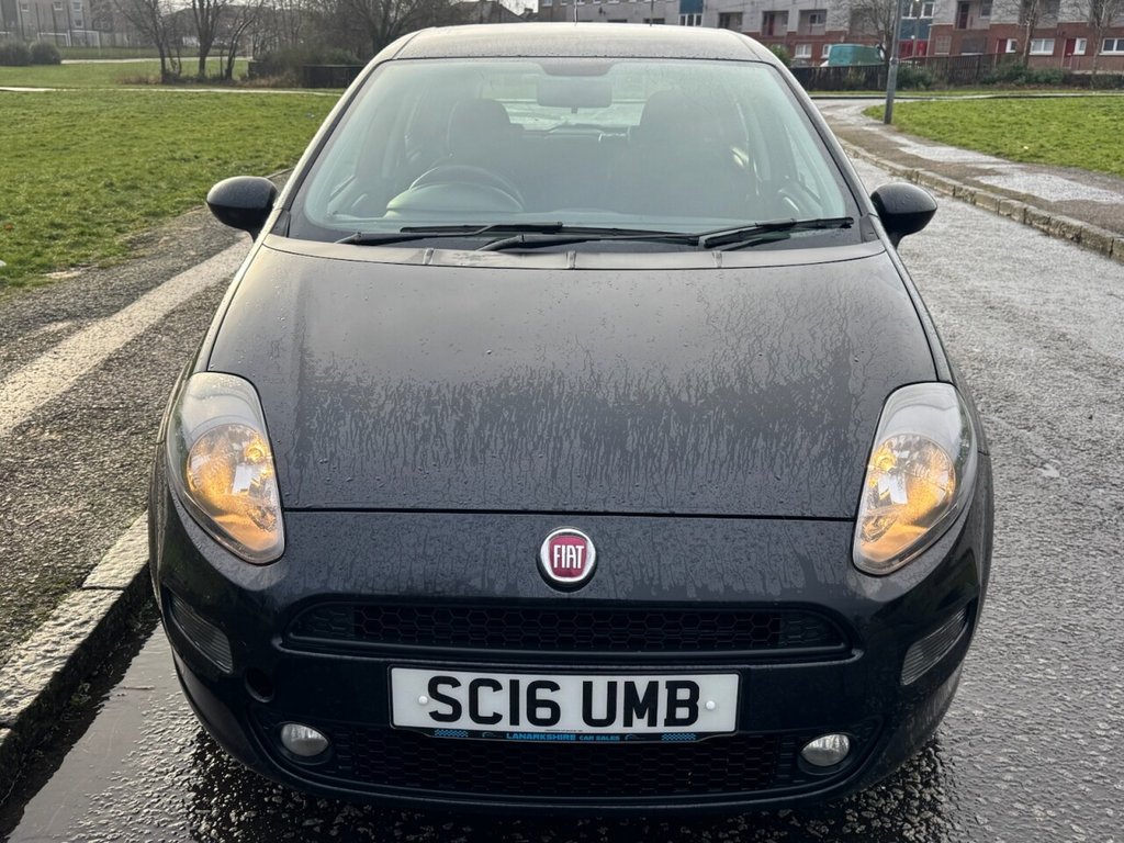 Used Fiat Punto 2016 for sale - 77133716: Photo 8