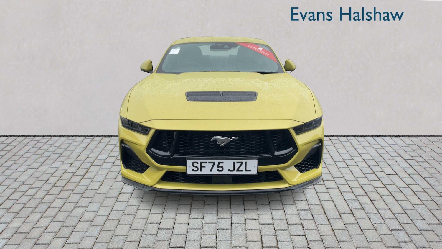 Used Ford Mustang 2025 for sale - 77294316: Photo 5