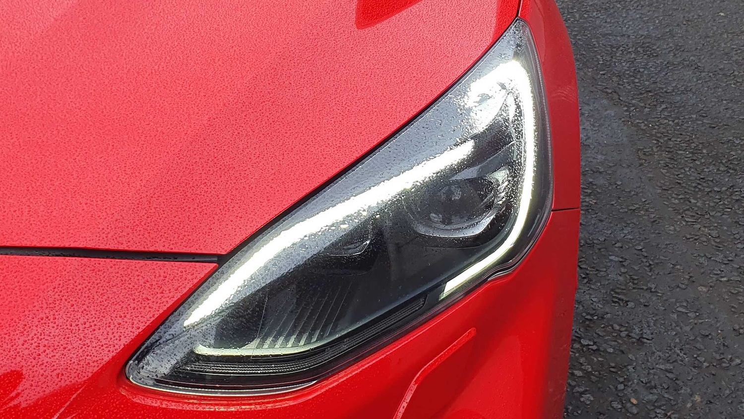 Used Ford Focus 2019 for sale - 76564491: Photo 34