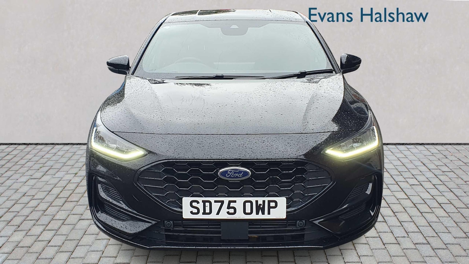 Used Ford Focus for sale - 77577366: Photo 4