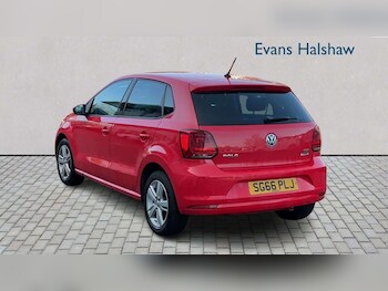 Used Volkswagen Polo 2016 for sale - 77961022: Photo