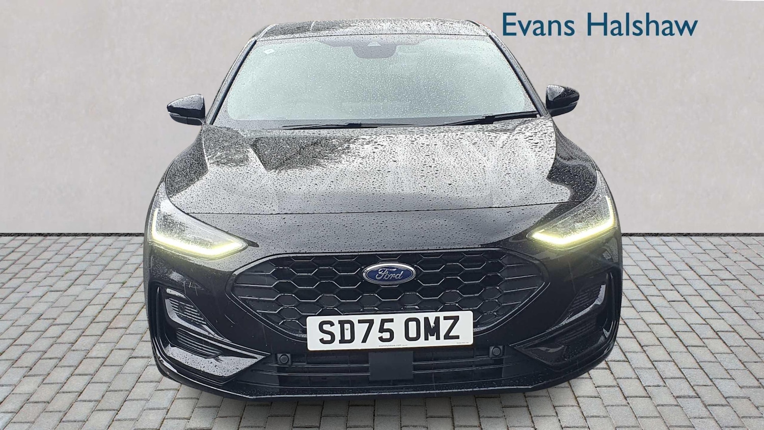 Used Ford Focus 2025 for sale - 77577231: Photo 4