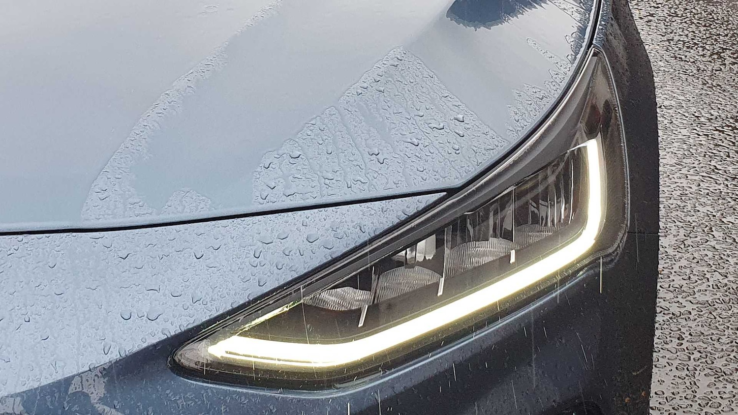 Used Ford Focus 2025 for sale - 77458541: Photo 33