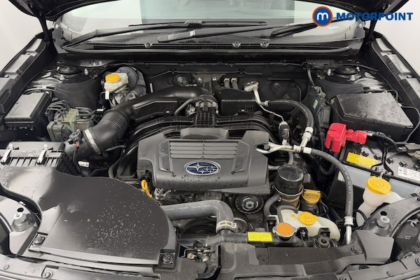 Used Subaru Outback 2024 for sale - 76206422: Photo 41