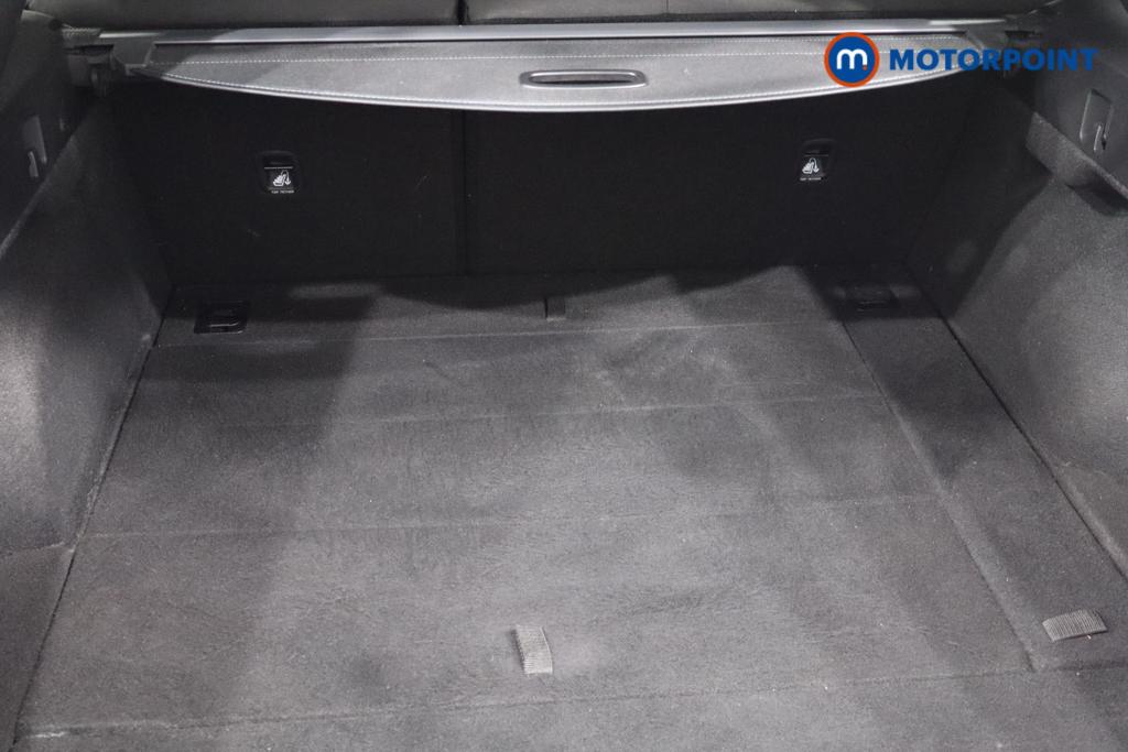 Used Kia Pro Ceed 2025 for sale - 76946294: Photo 31